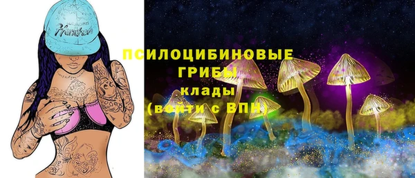 стаф Алексеевка