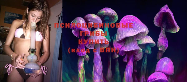стаф Алексеевка