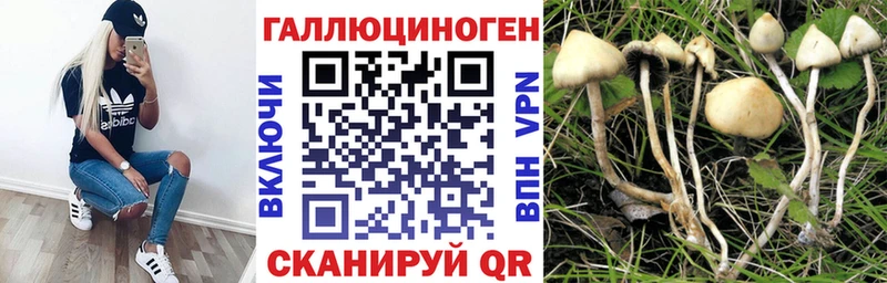 цена наркотик  Якутск  Псилоцибиновые грибы Cubensis 